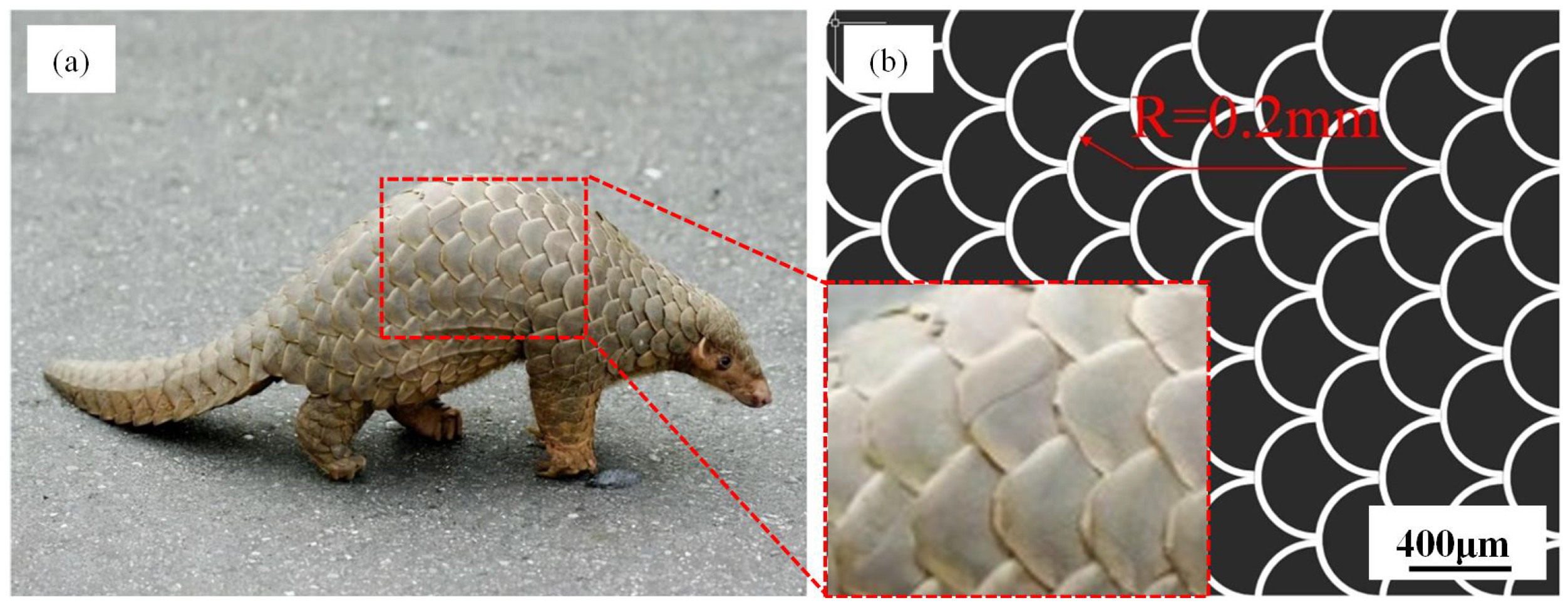 Biomimetics 10 00042 g001 Biomimetics 10 00042 g001