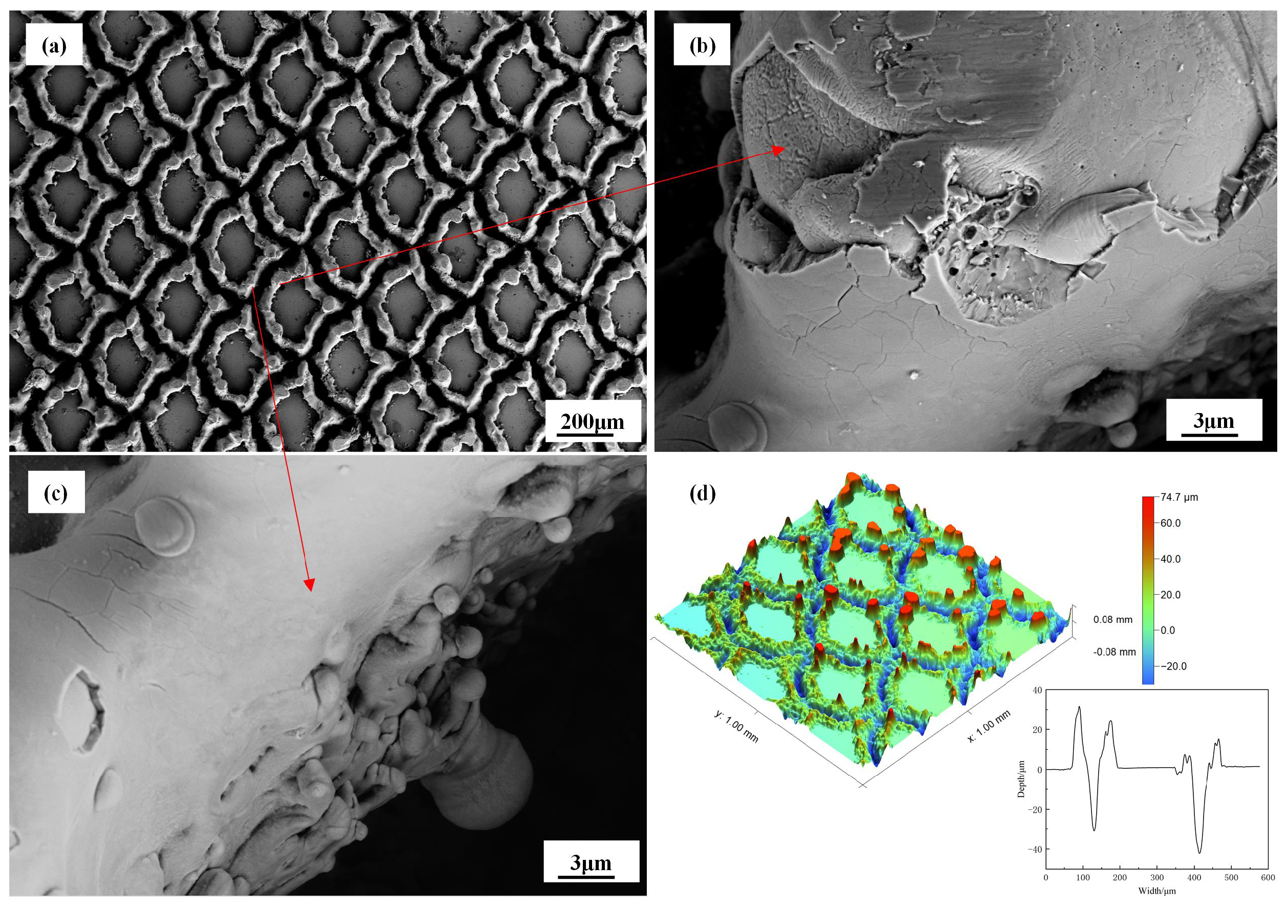 Biomimetics 10 00042 g004 Biomimetics 10 00042 g004