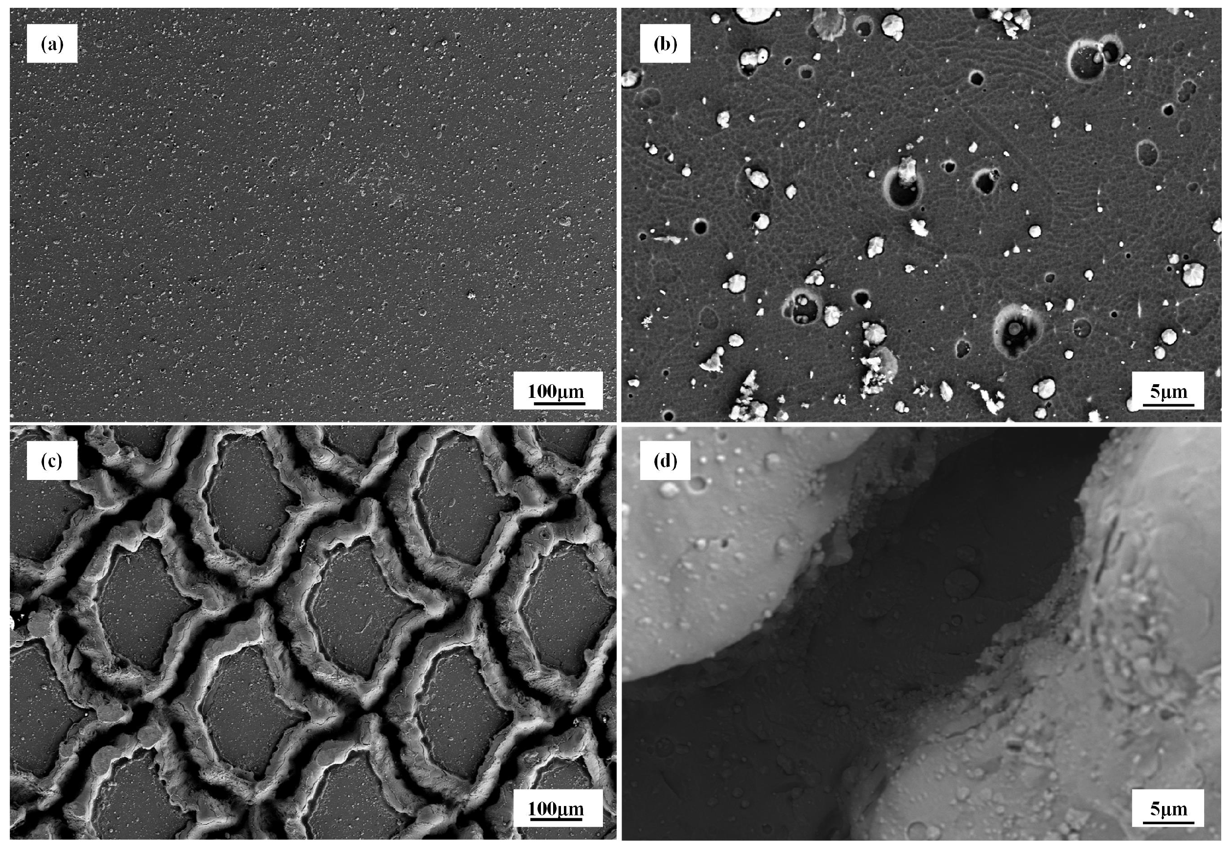 Biomimetics 10 00042 g005 Biomimetics 10 00042 g005
