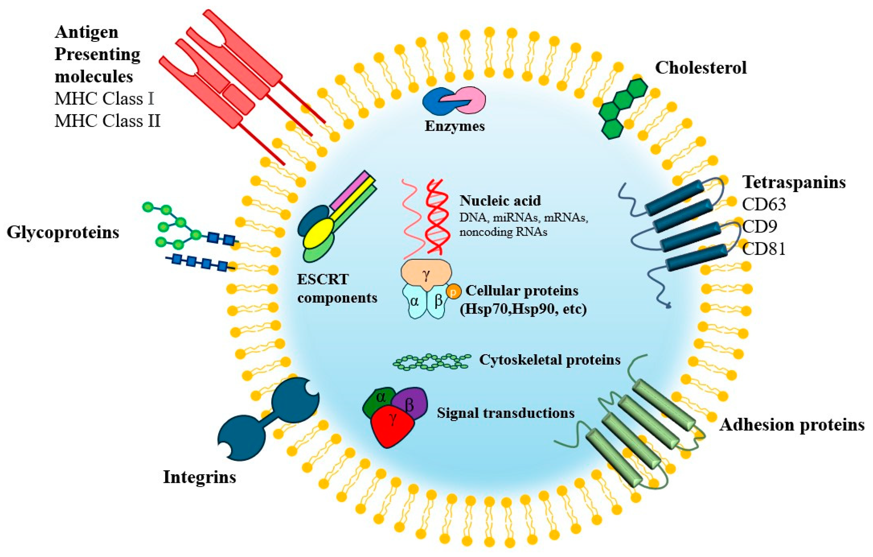 Biomimetics 10 00049 g001