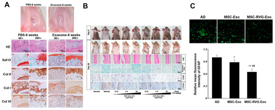 Biomimetics 10 00049 g002