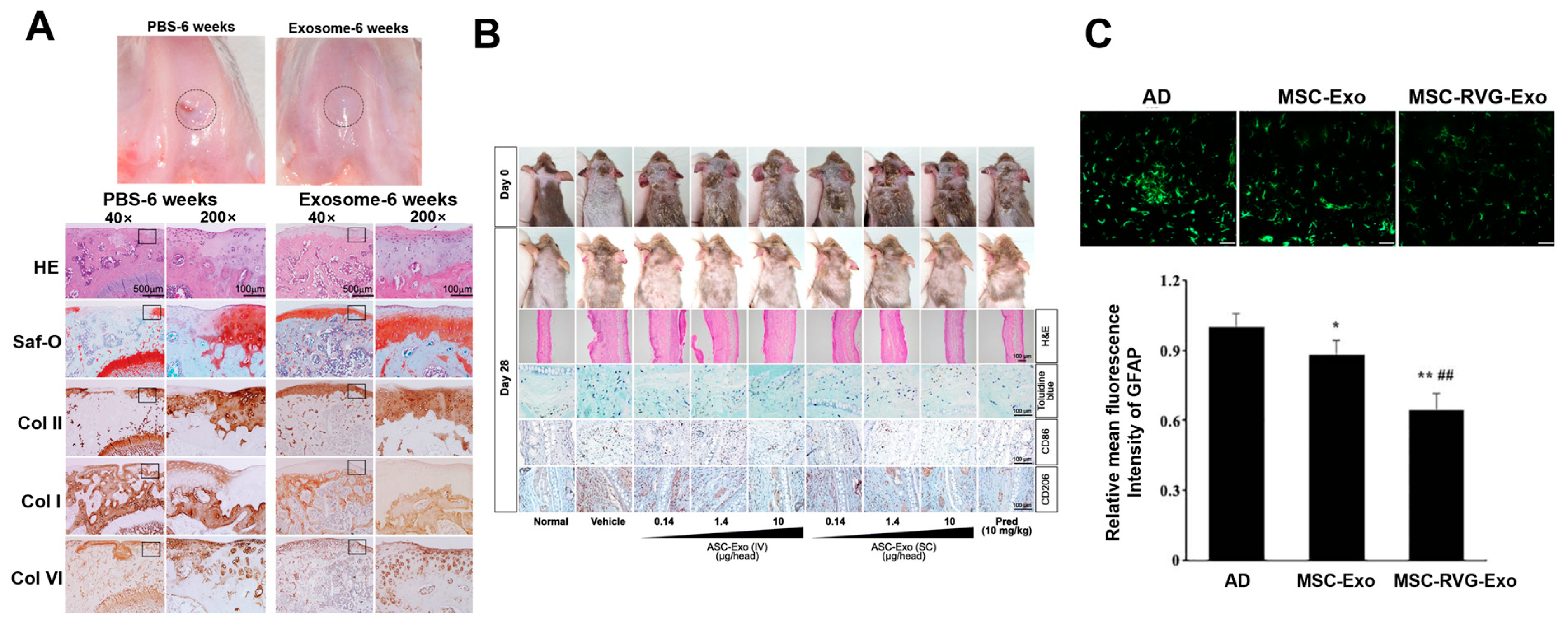 Biomimetics 10 00049 g002