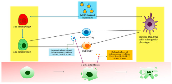 Biomimetics 10 00049 g004