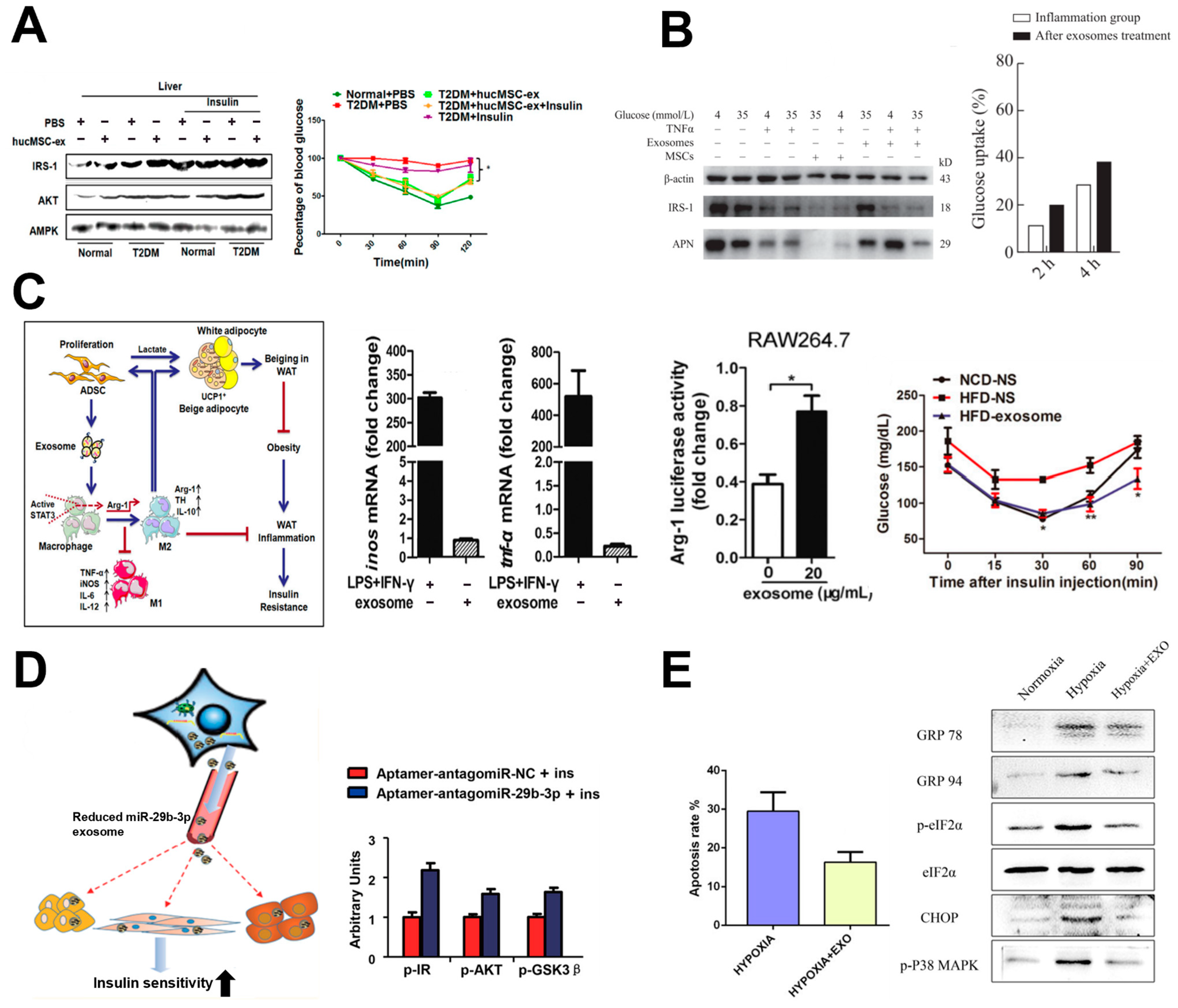 Biomimetics 10 00049 g006