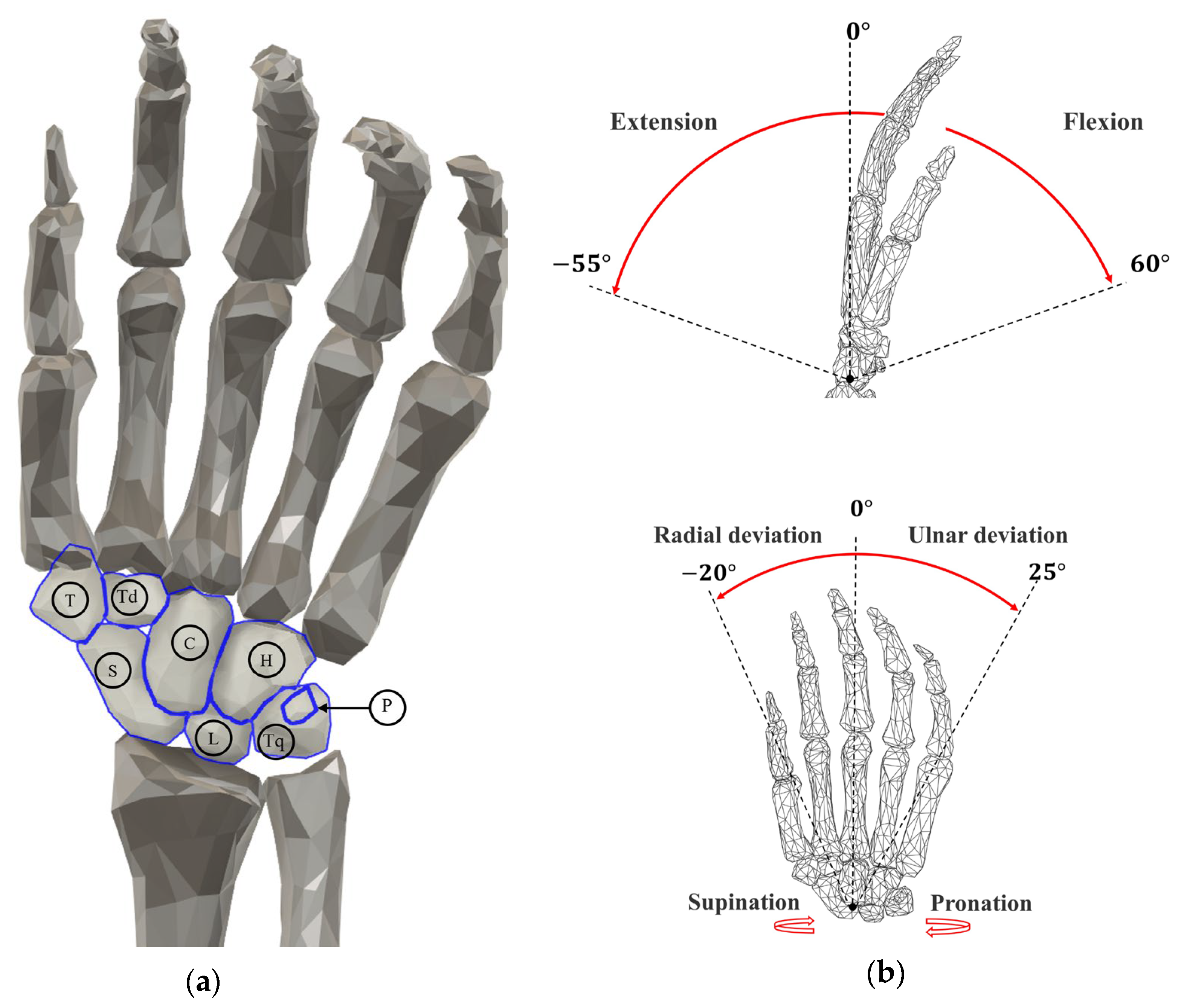 Biomimetics 10 00052 g001