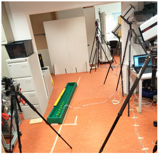 Biomimetics 10 00060 g0a1