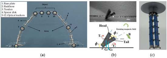 Biomimetics 10 00071 g001