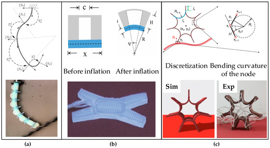 Biomimetics 10 00071 g002