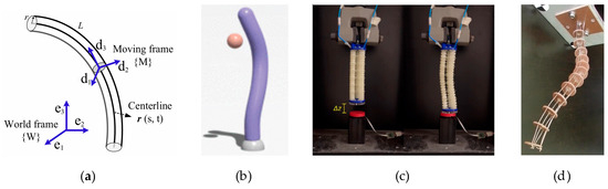 Biomimetics 10 00071 g003