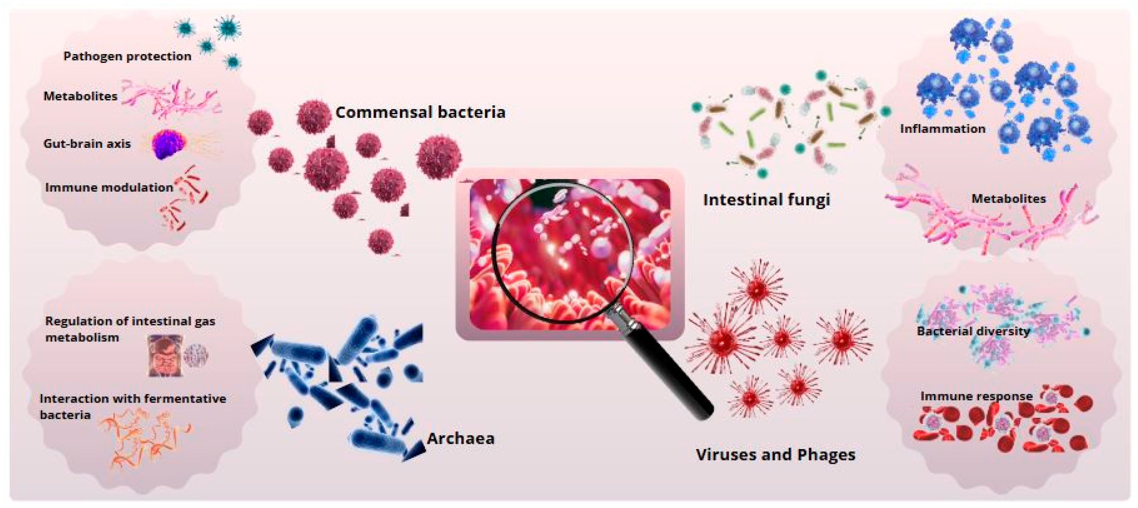 Biomimetics 10 00073 g001
