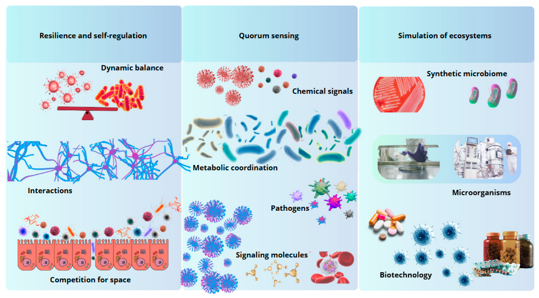Biomimetics 10 00073 g002