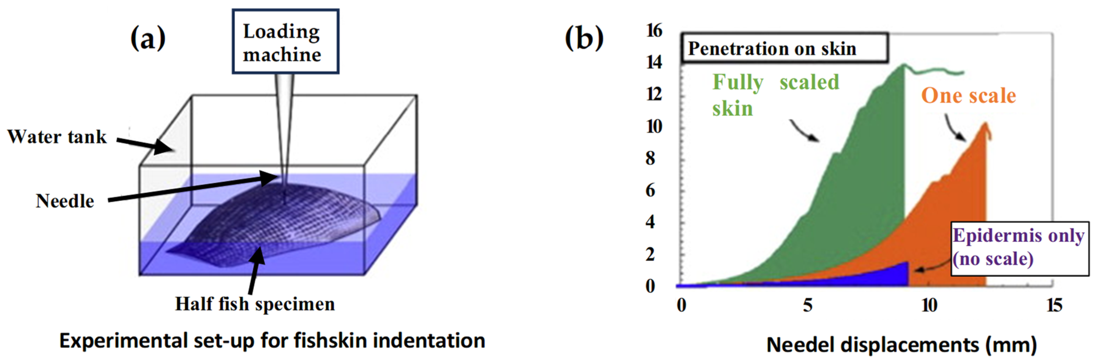 Biomimetics 10 00075 g003