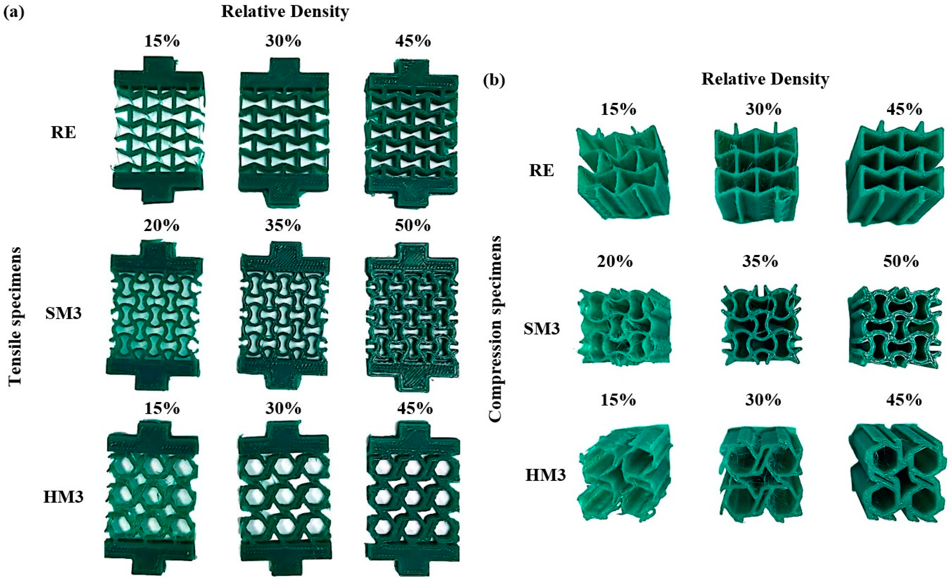 Biomimetics 10 00078 g004