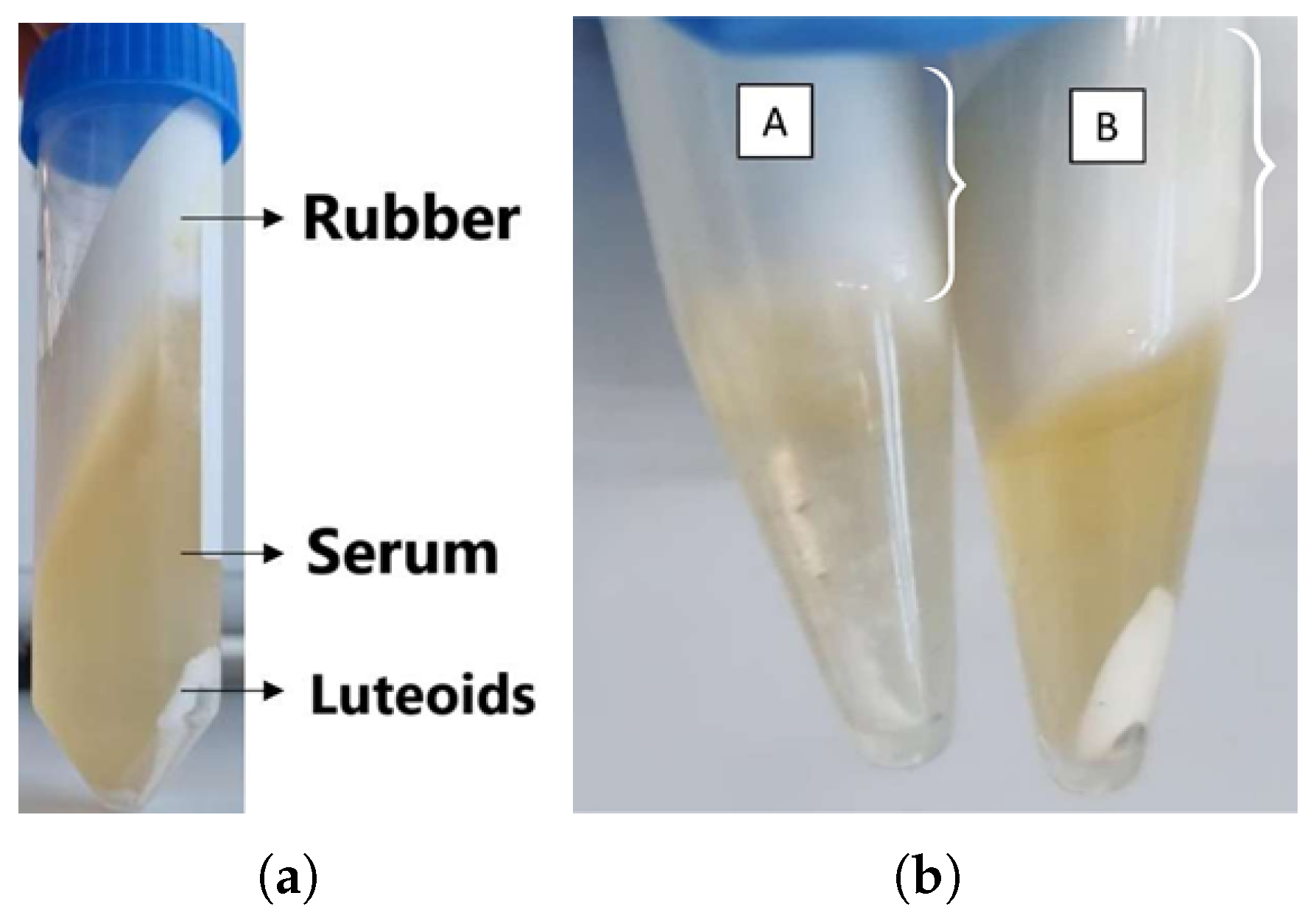 Biomimetics 10 00085 g004