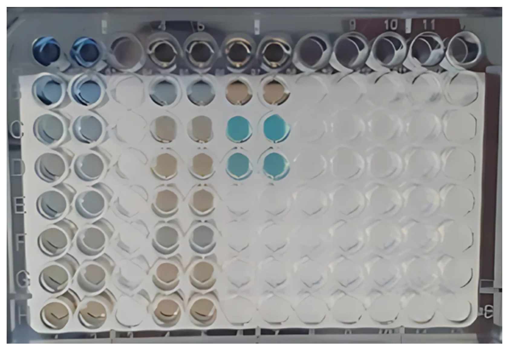 Biomimetics 10 00085 g012