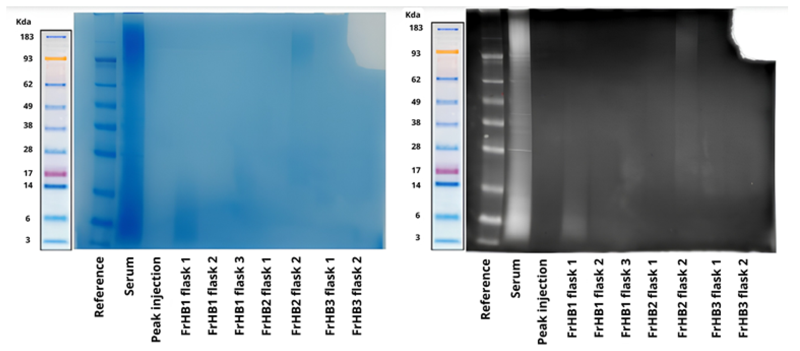Biomimetics 10 00085 g014