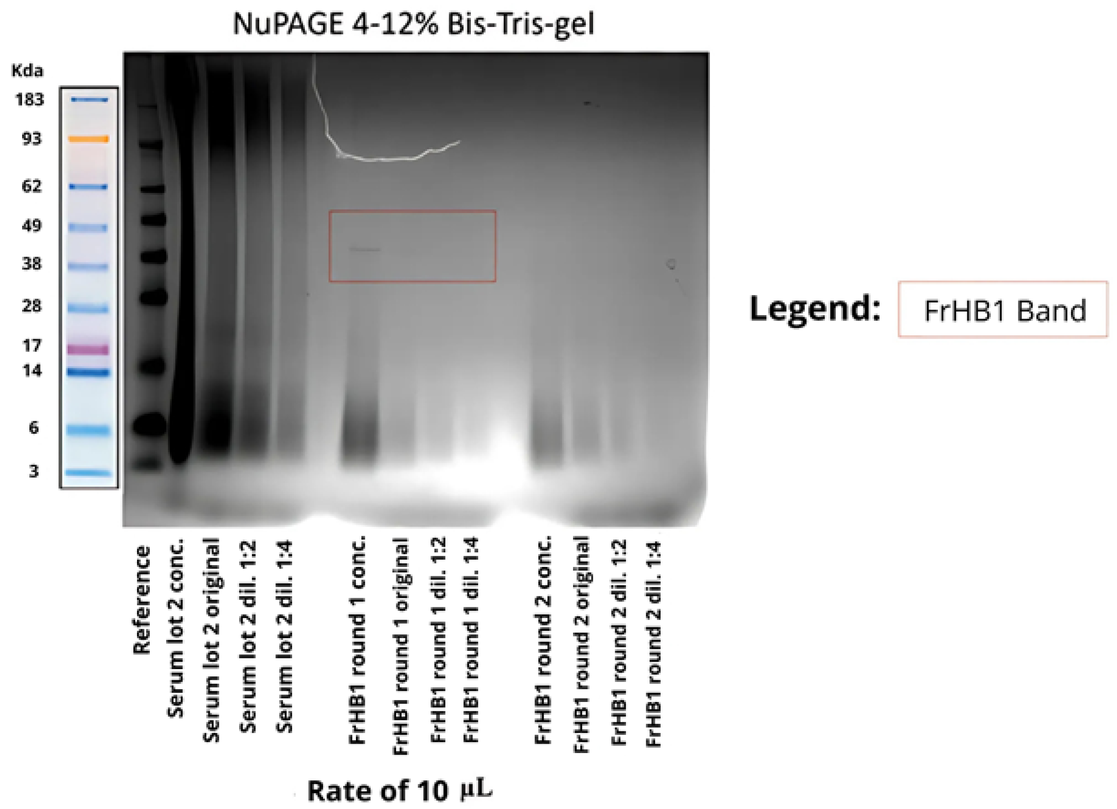 Biomimetics 10 00085 g019