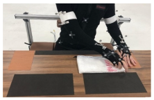 Biomimetics 10 00094 i003