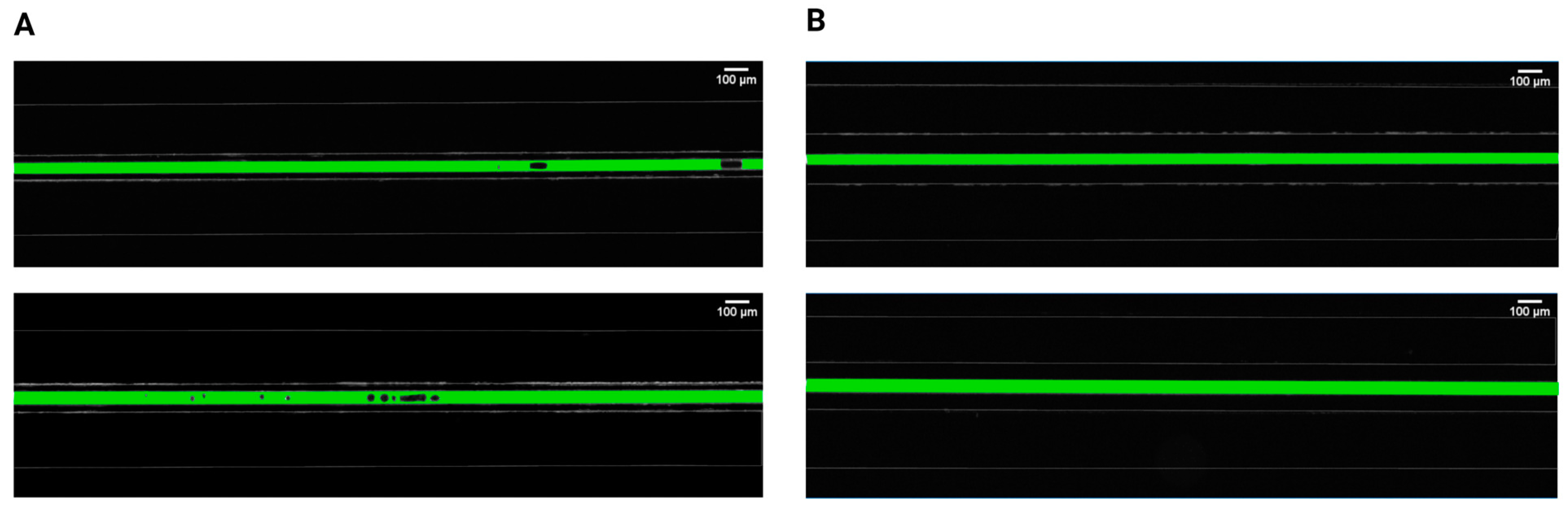 Biomimetics 10 00098 g002