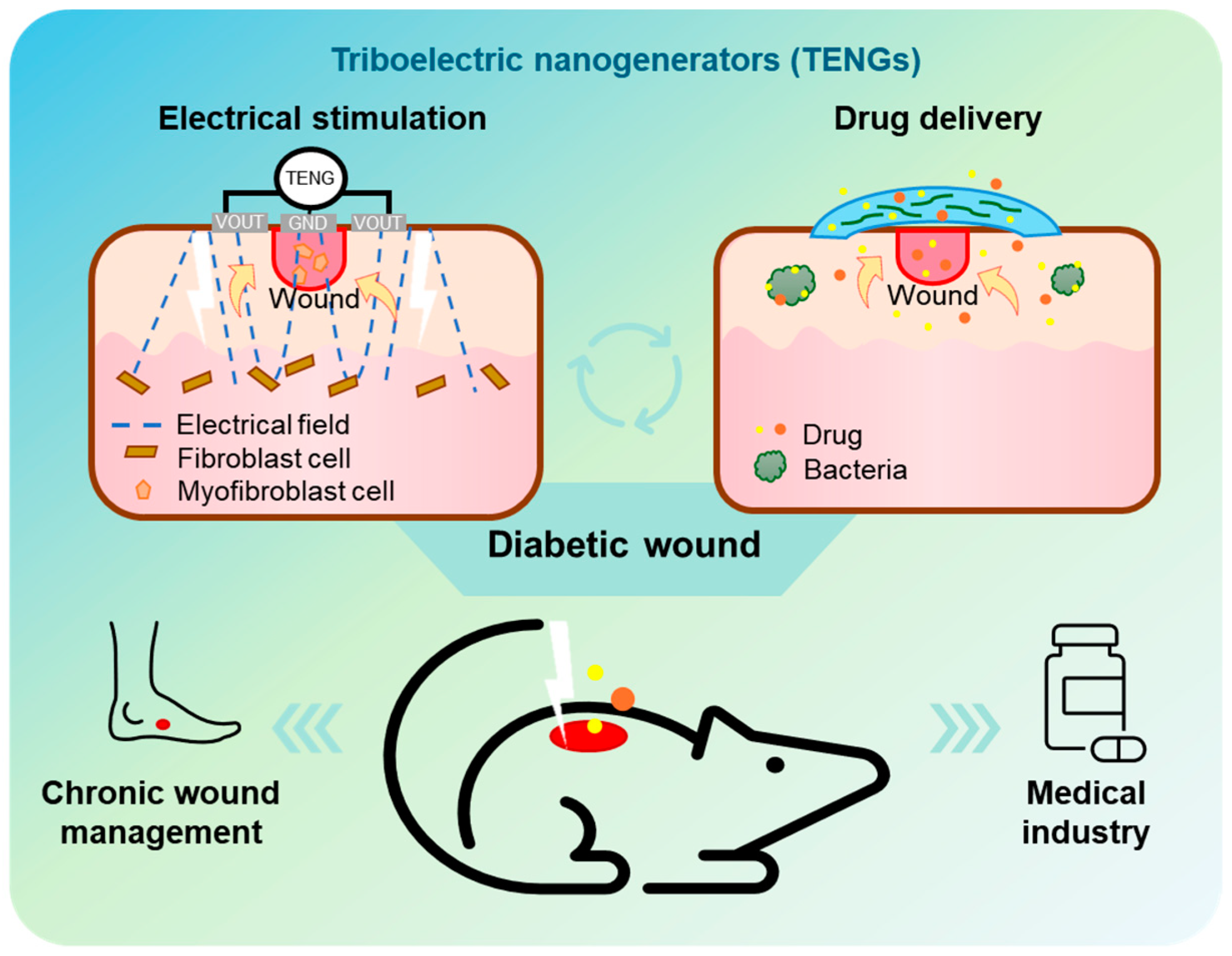 Biomimetics 10 00108 g001