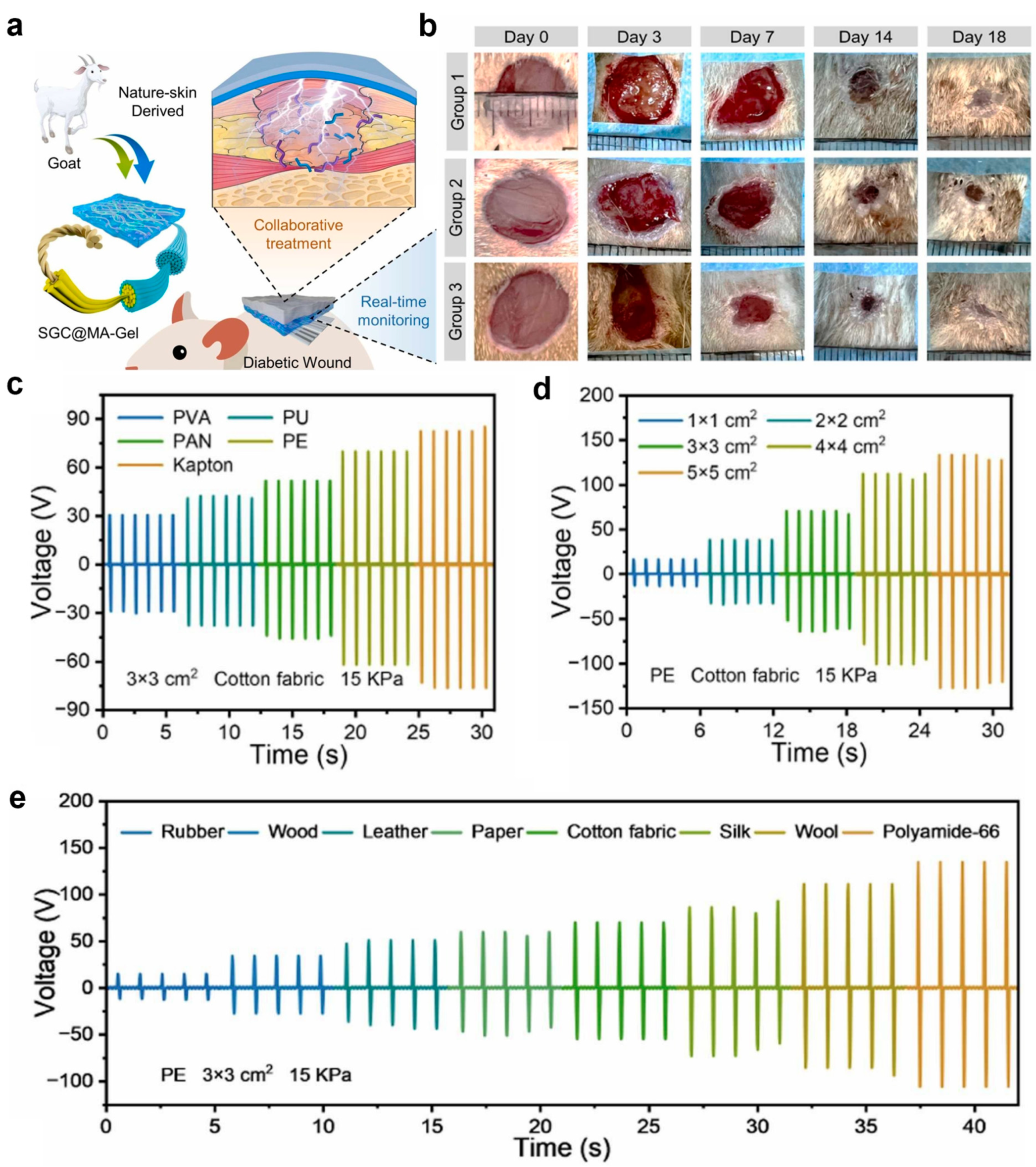 Biomimetics 10 00108 g005