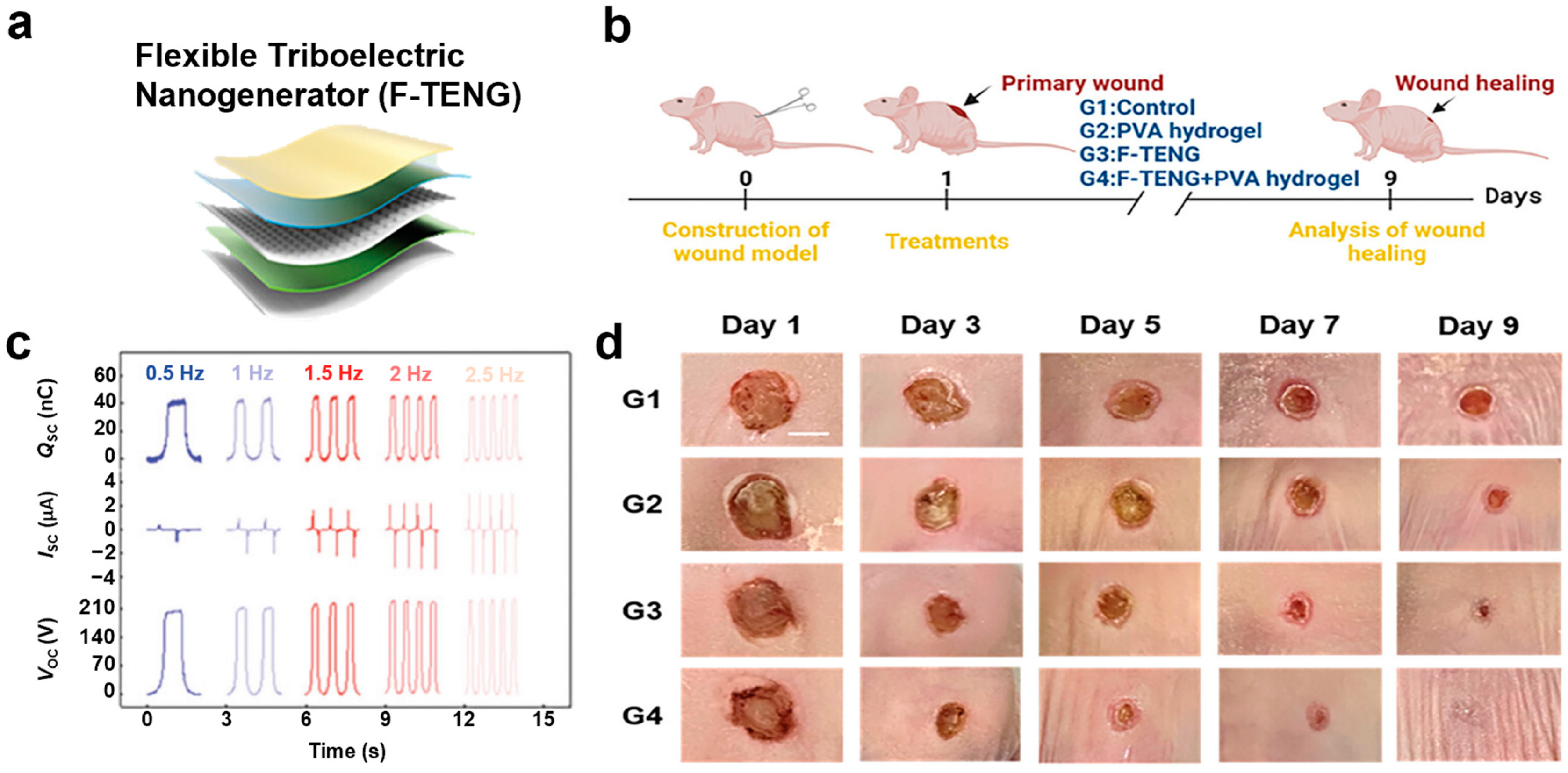 Biomimetics 10 00108 g006