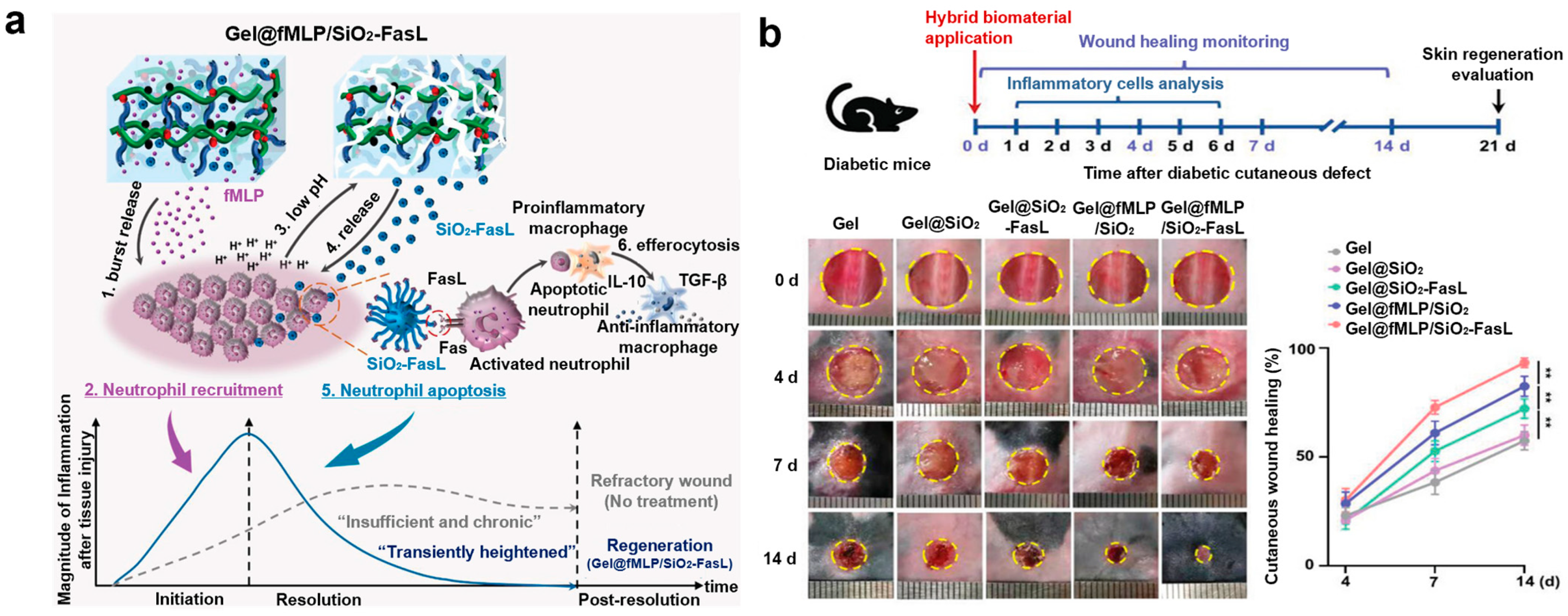 Biomimetics 10 00108 g008