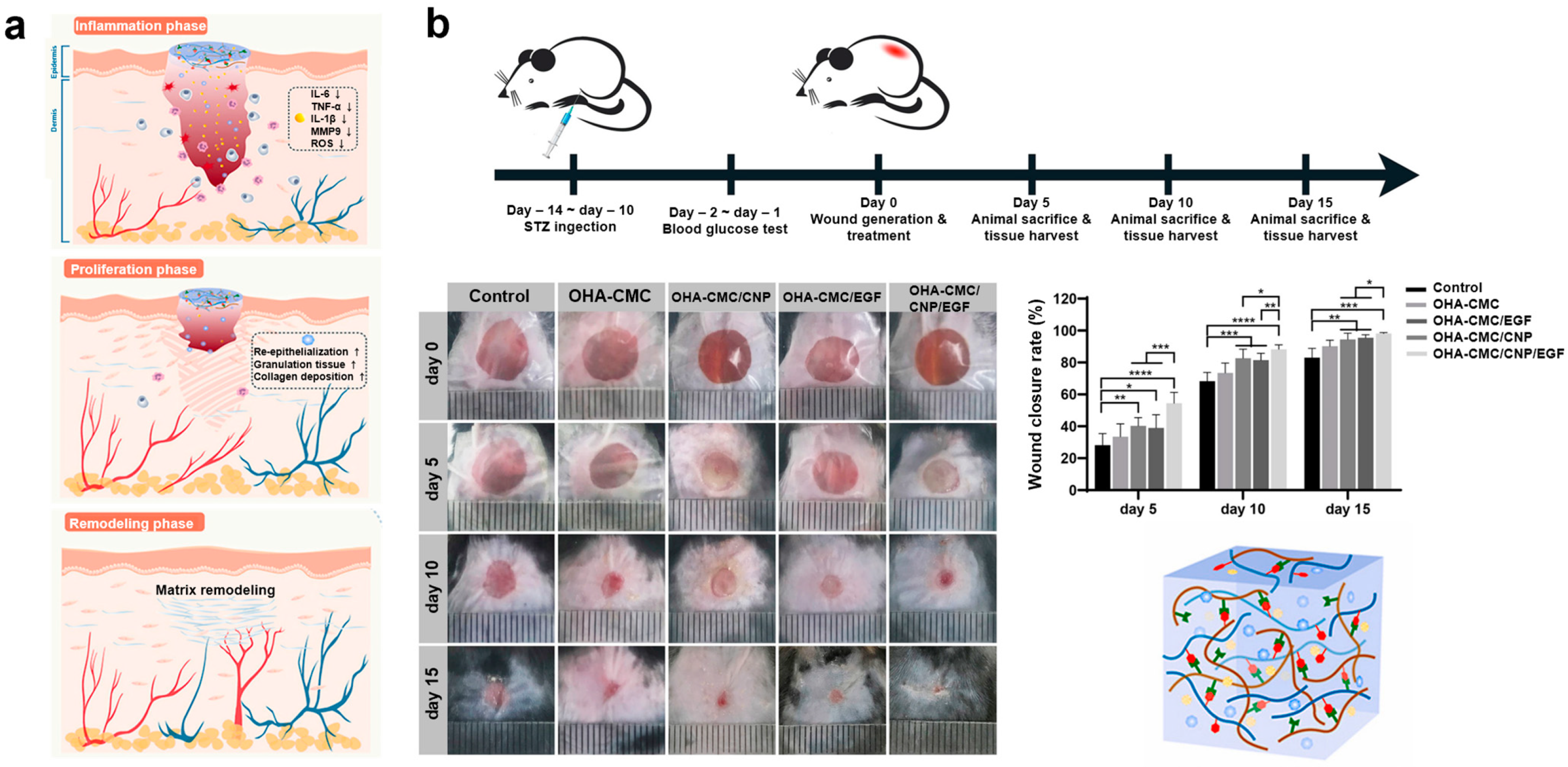 Biomimetics 10 00108 g009