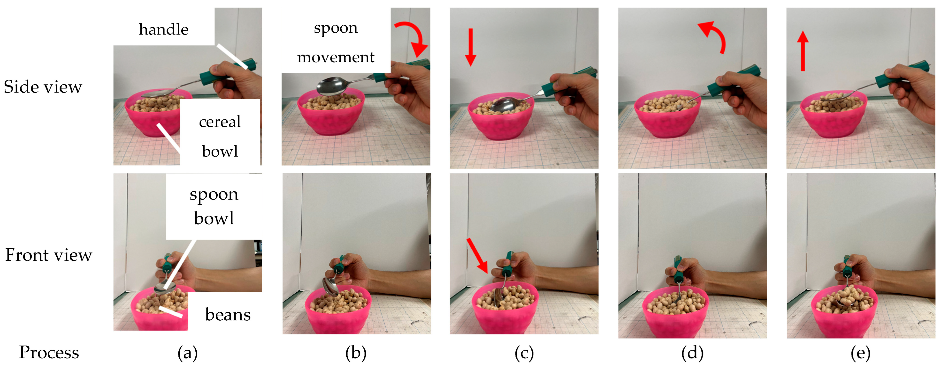 Biomimetics 10 00116 g001