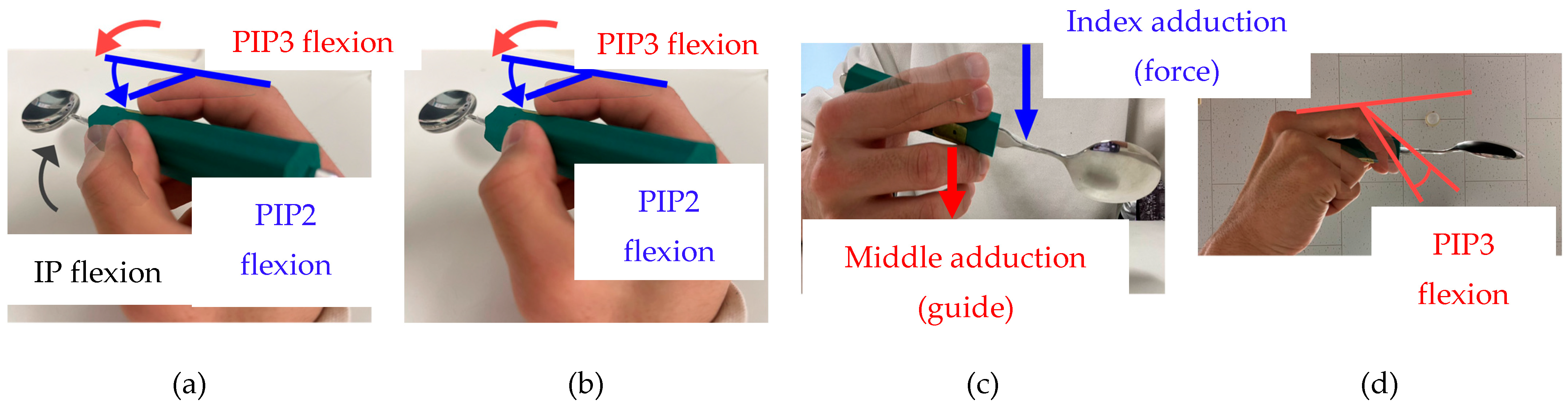 Biomimetics 10 00116 g003