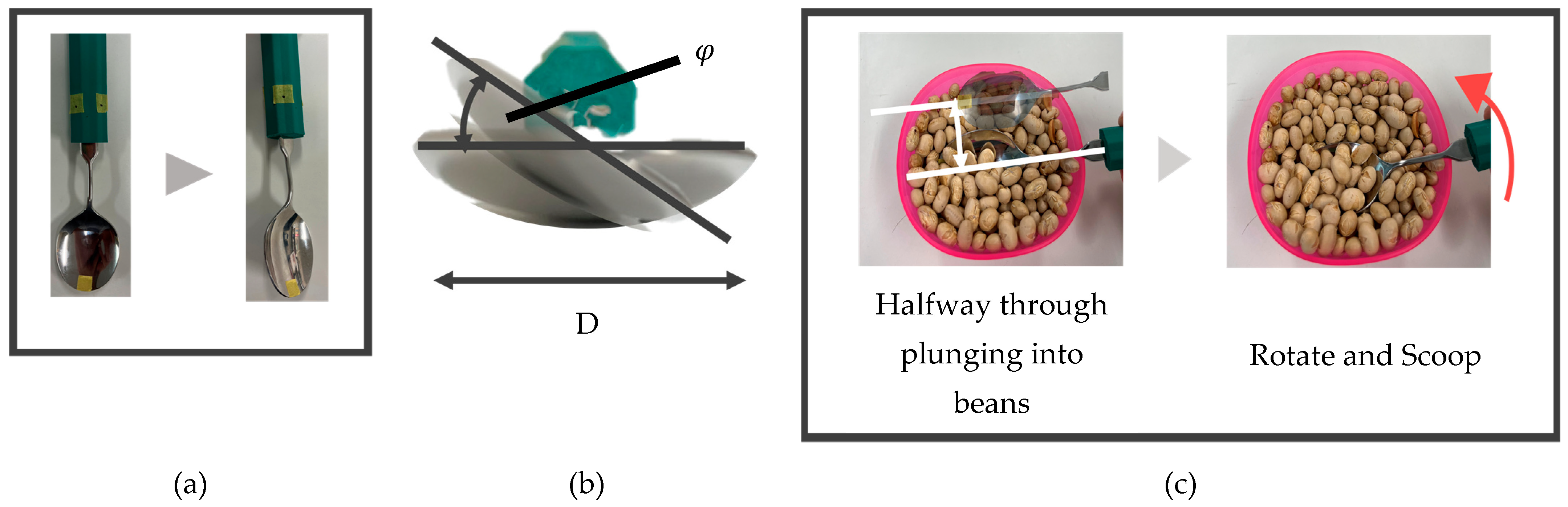Biomimetics 10 00116 g007