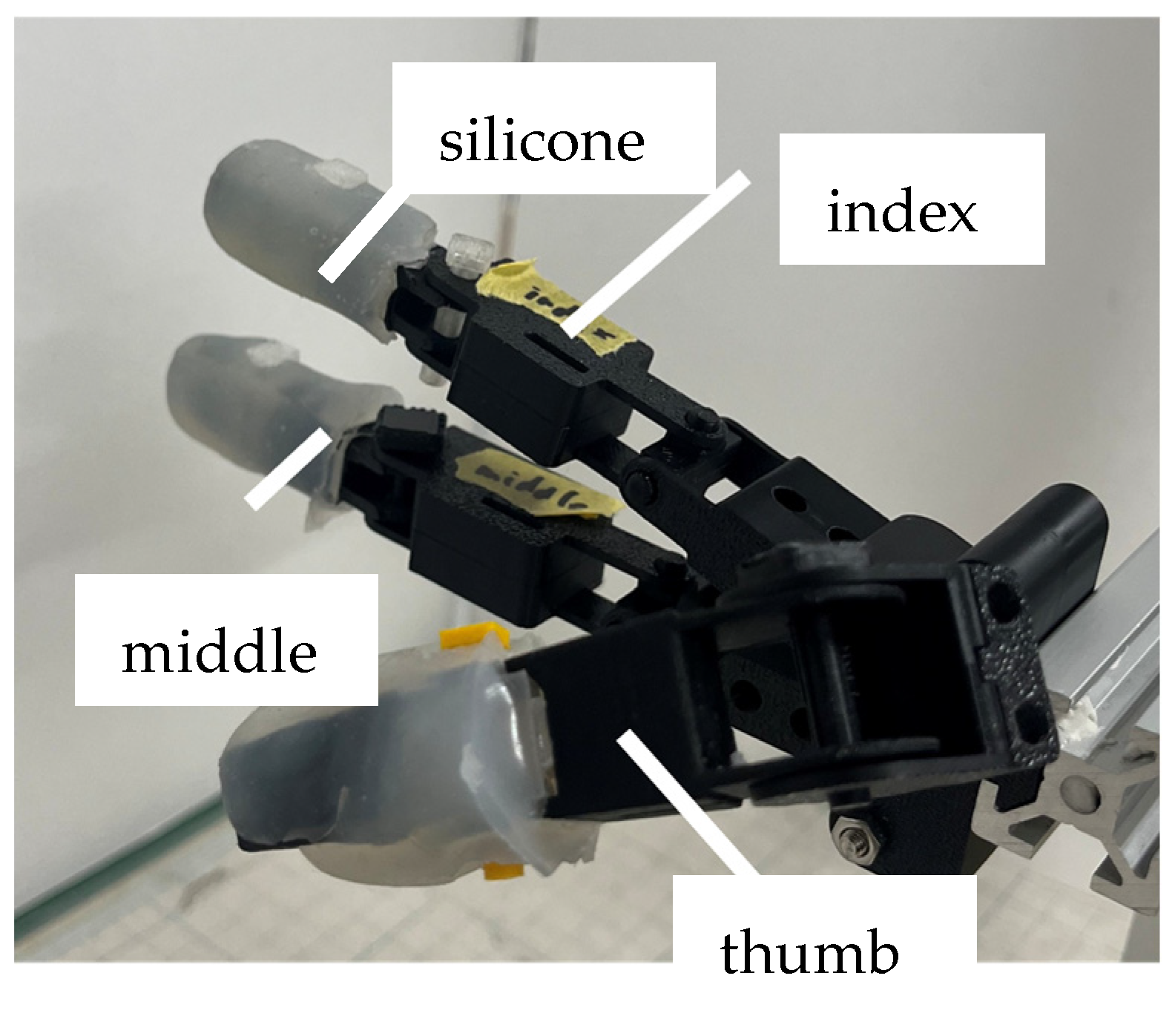 Biomimetics 10 00116 g013