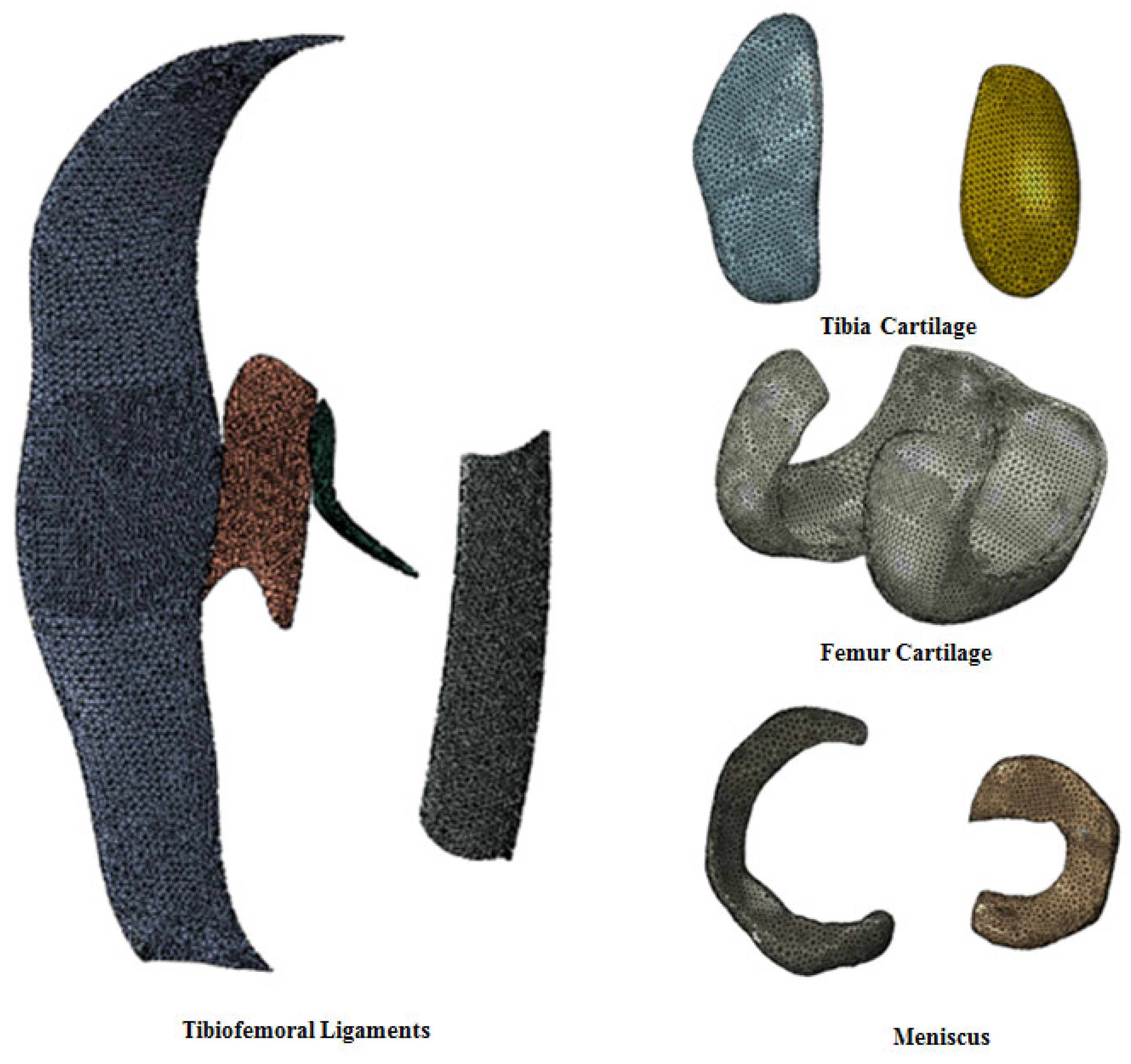 Biomimetics 10 00119 g003