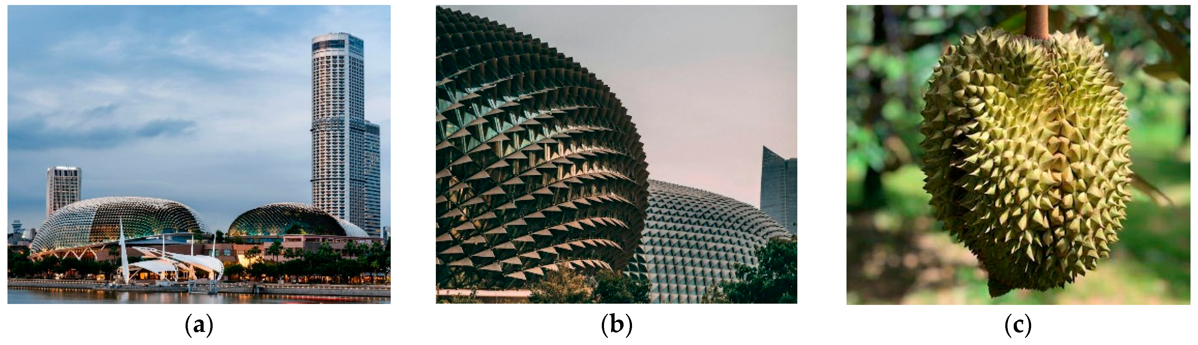 Biomimetics 10 00124 g004