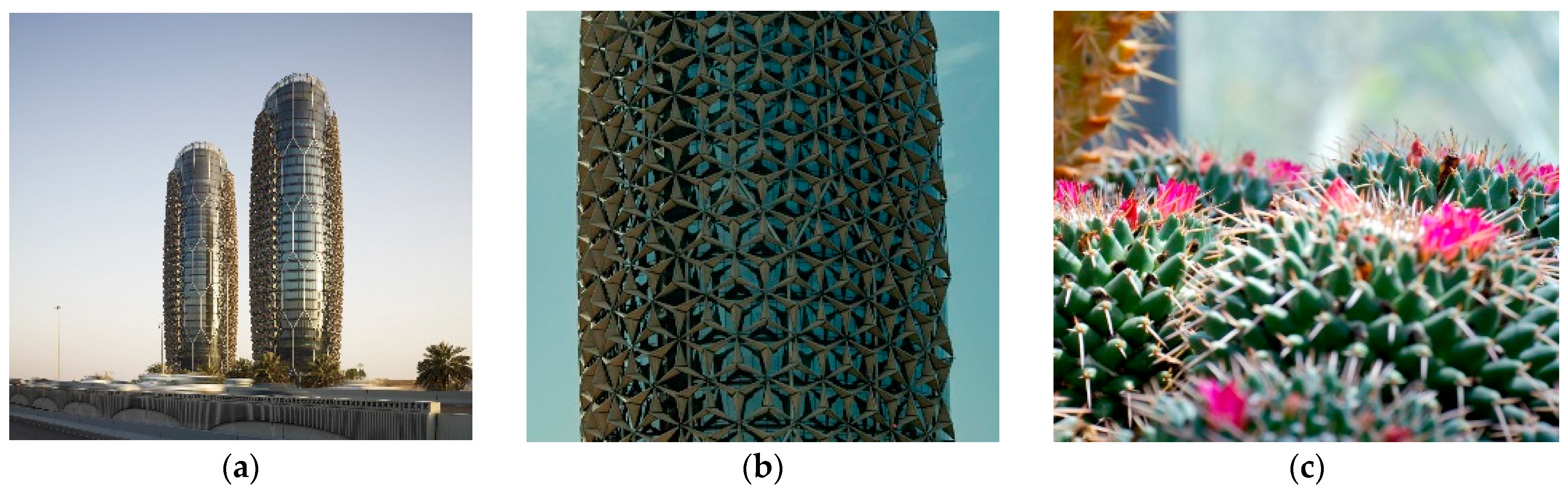 Biomimetics 10 00124 g005