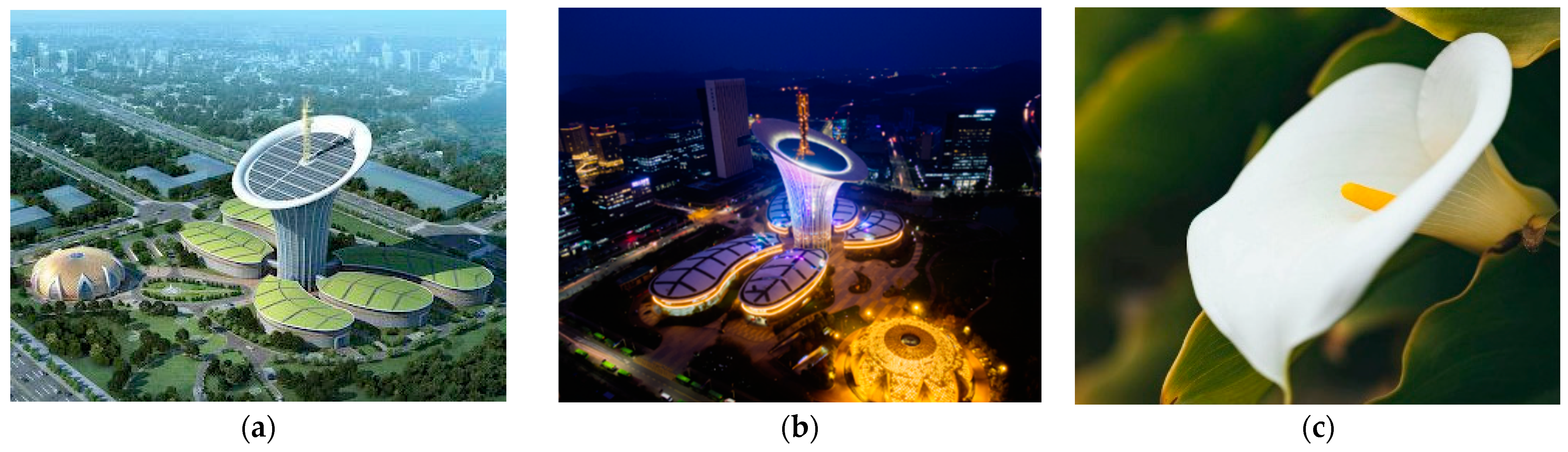 Biomimetics 10 00124 g010