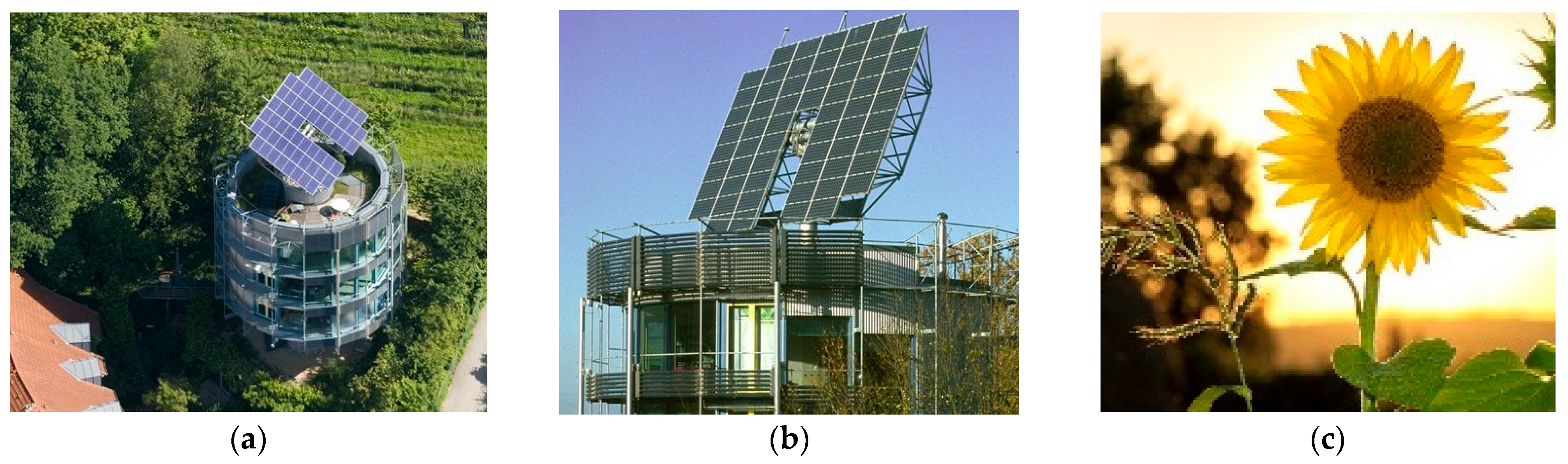 Biomimetics 10 00124 g012