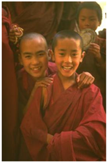 Biomimetics 10 00127 i015