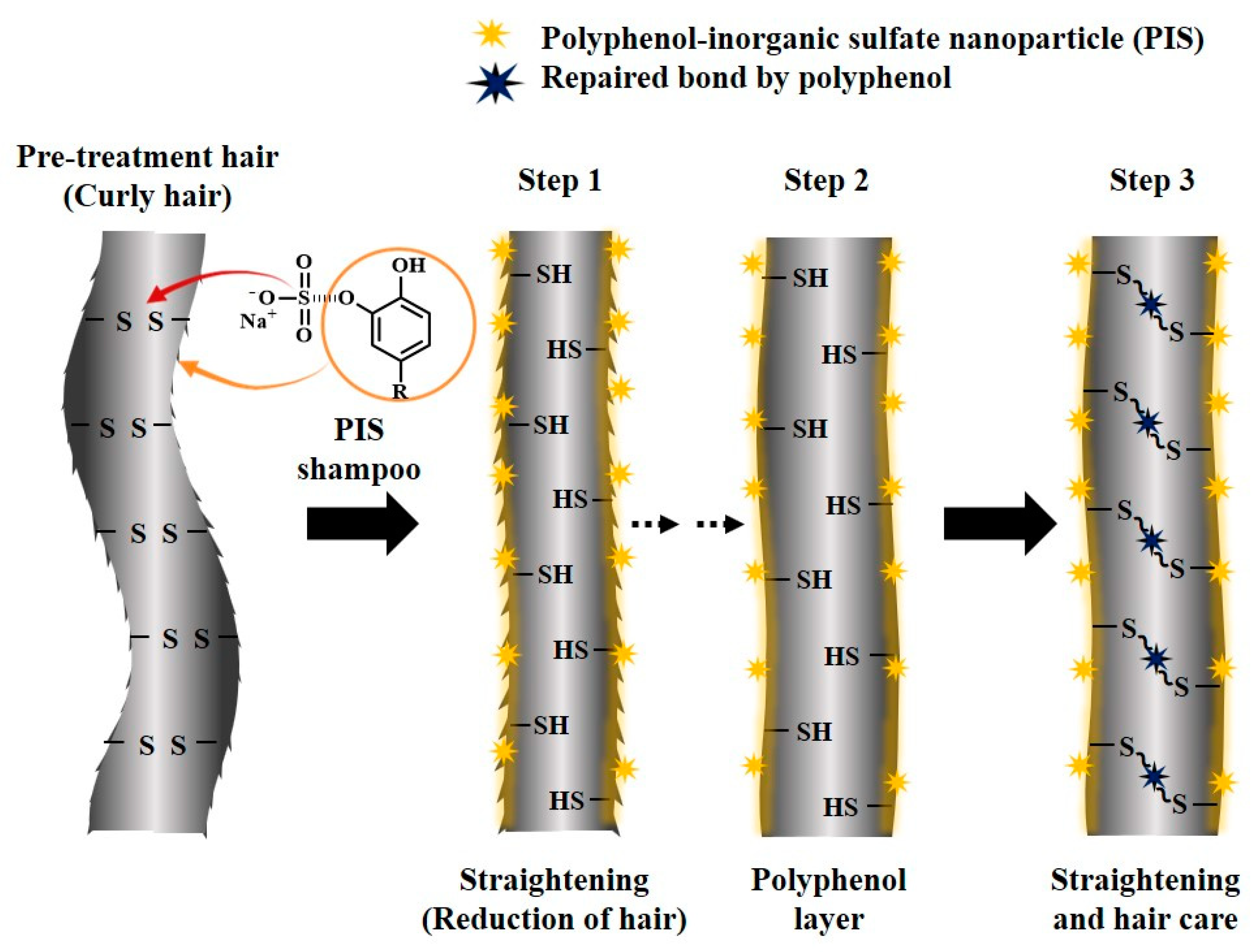 Biomimetics 10 00132 g001