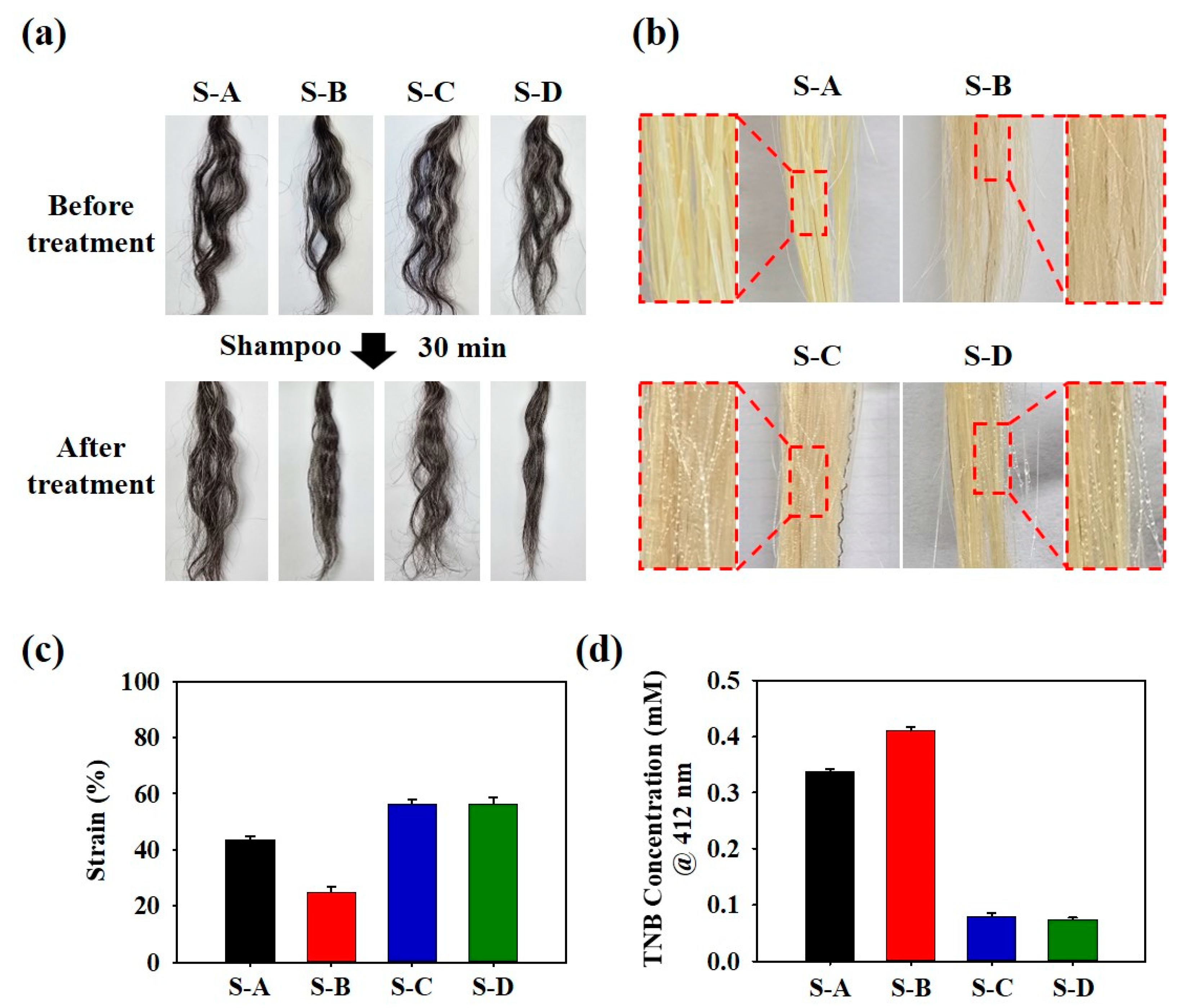 Biomimetics 10 00132 g006