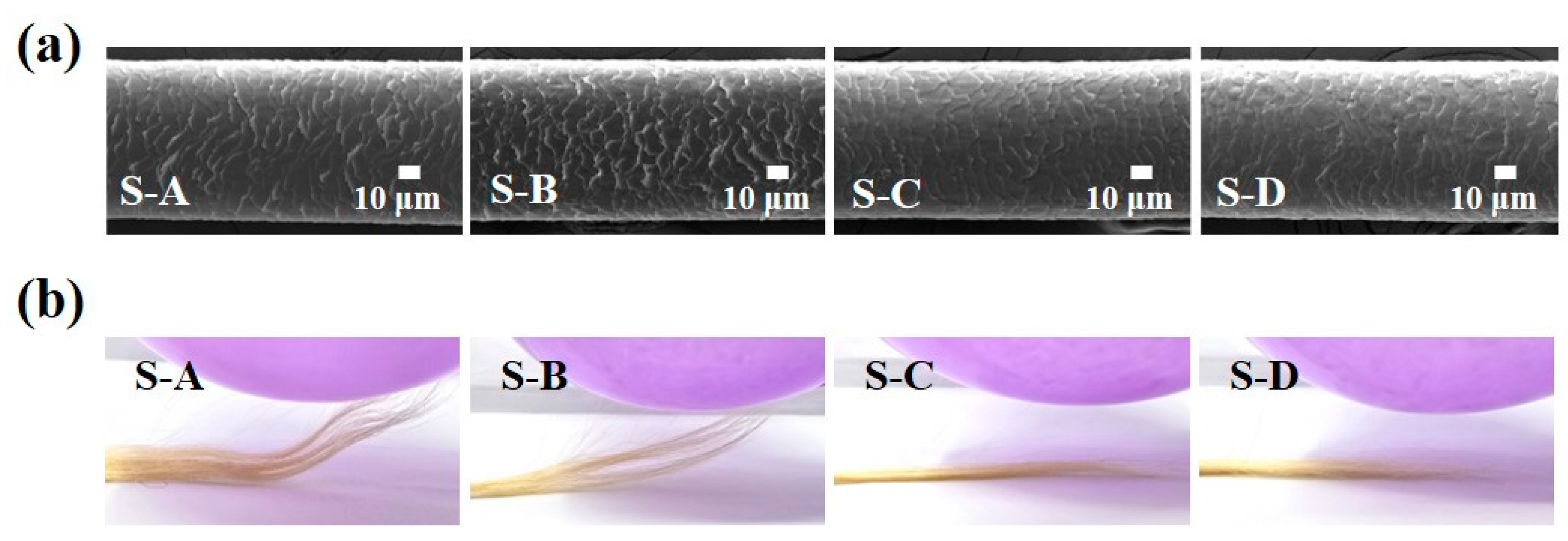 Biomimetics 10 00132 g007