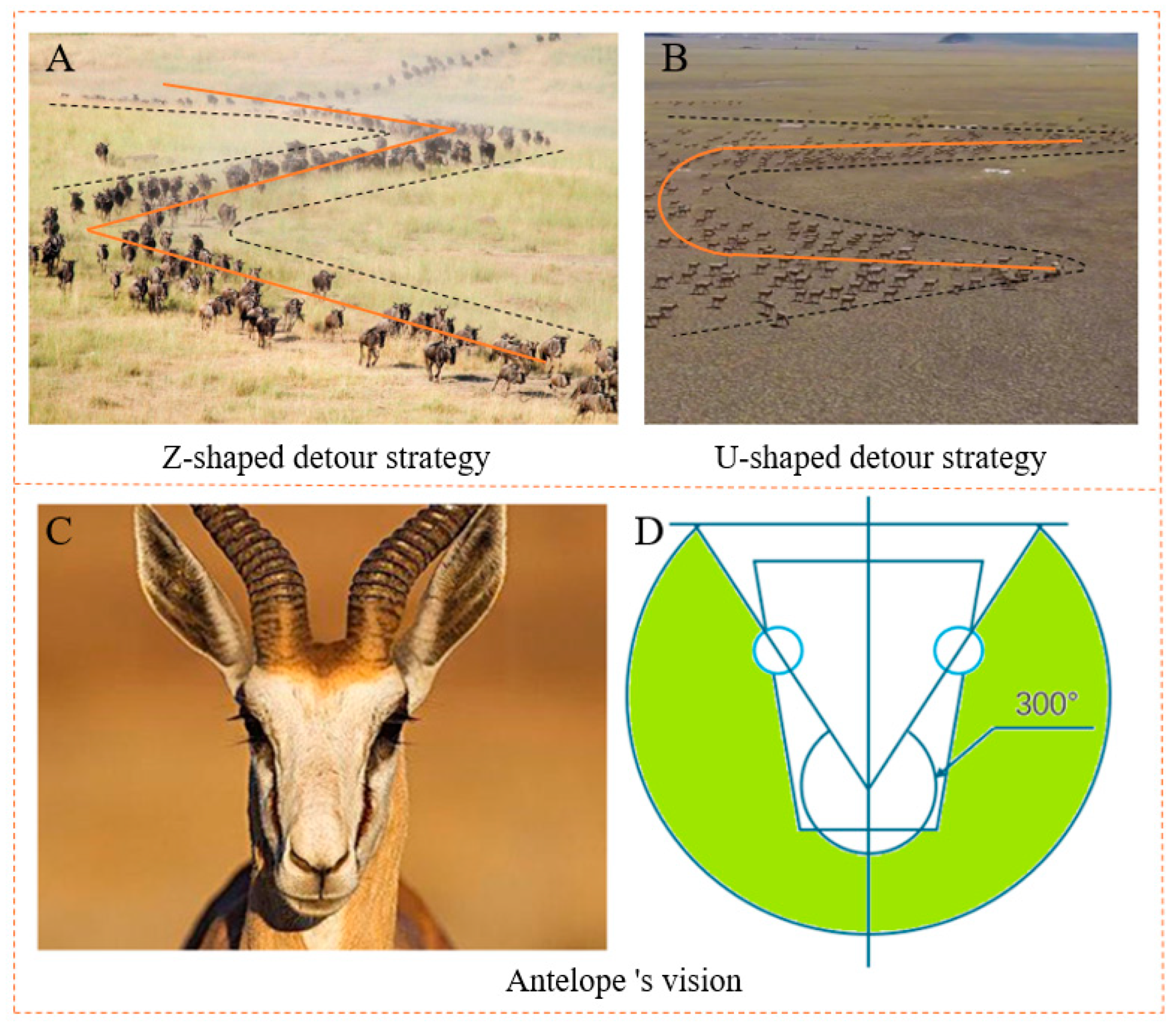 Biomimetics 10 00142 g001