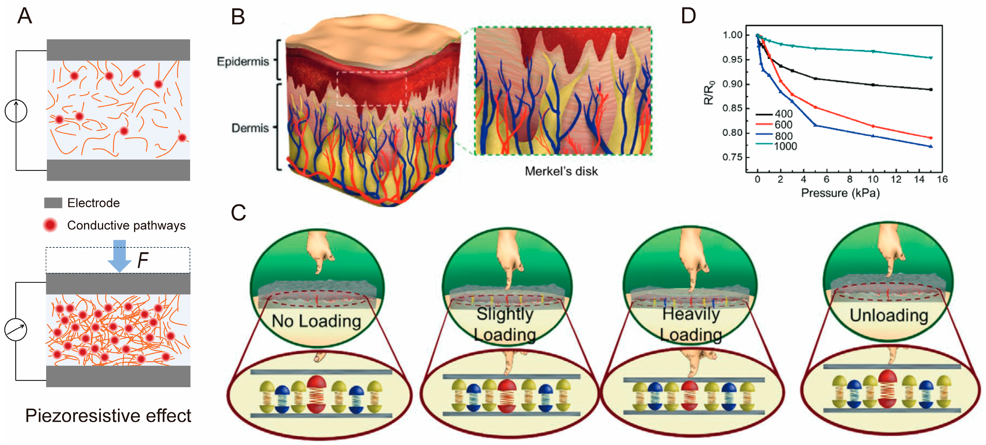 Biomimetics 10 00147 g002