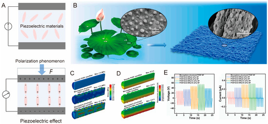 Biomimetics 10 00147 g004