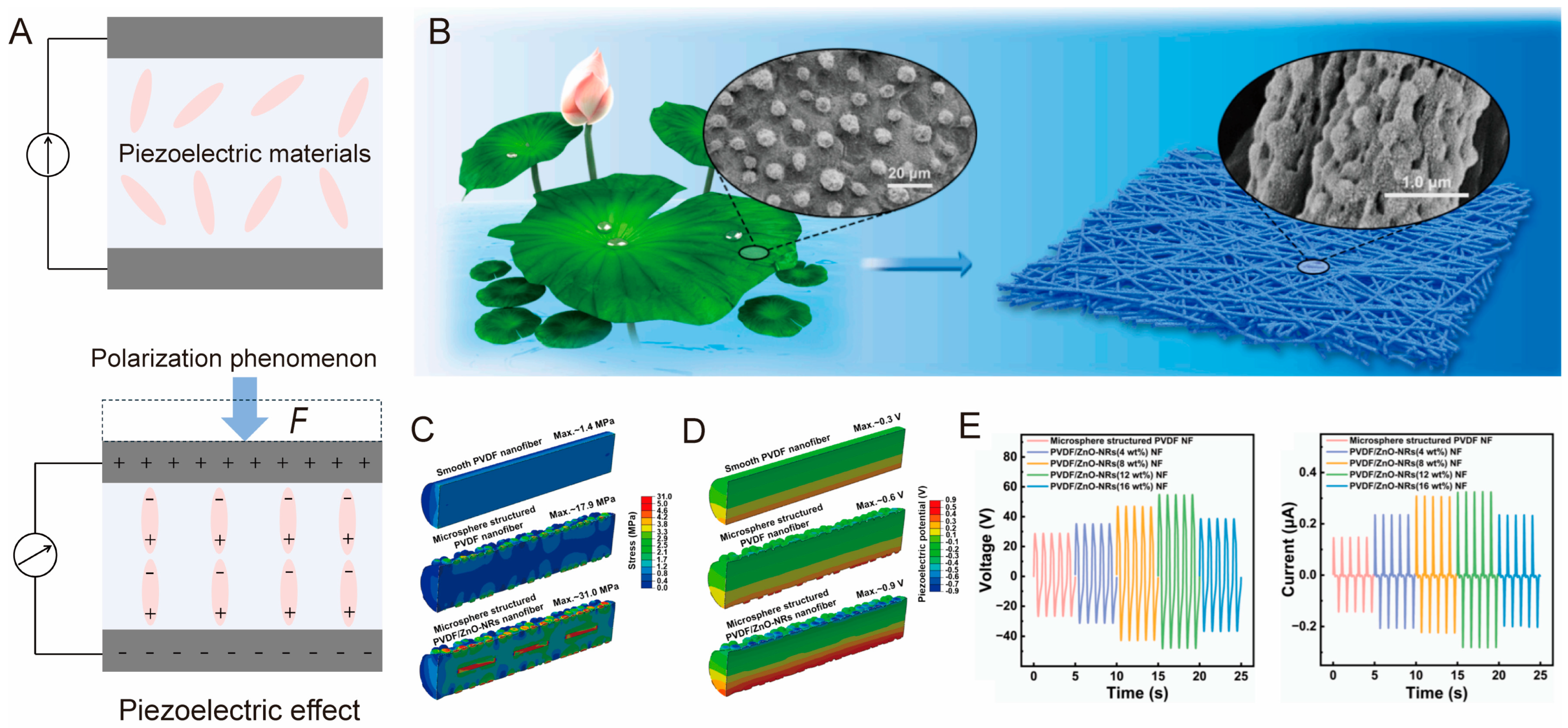 Biomimetics 10 00147 g004