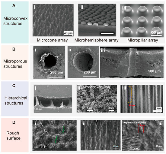 Biomimetics 10 00147 g006