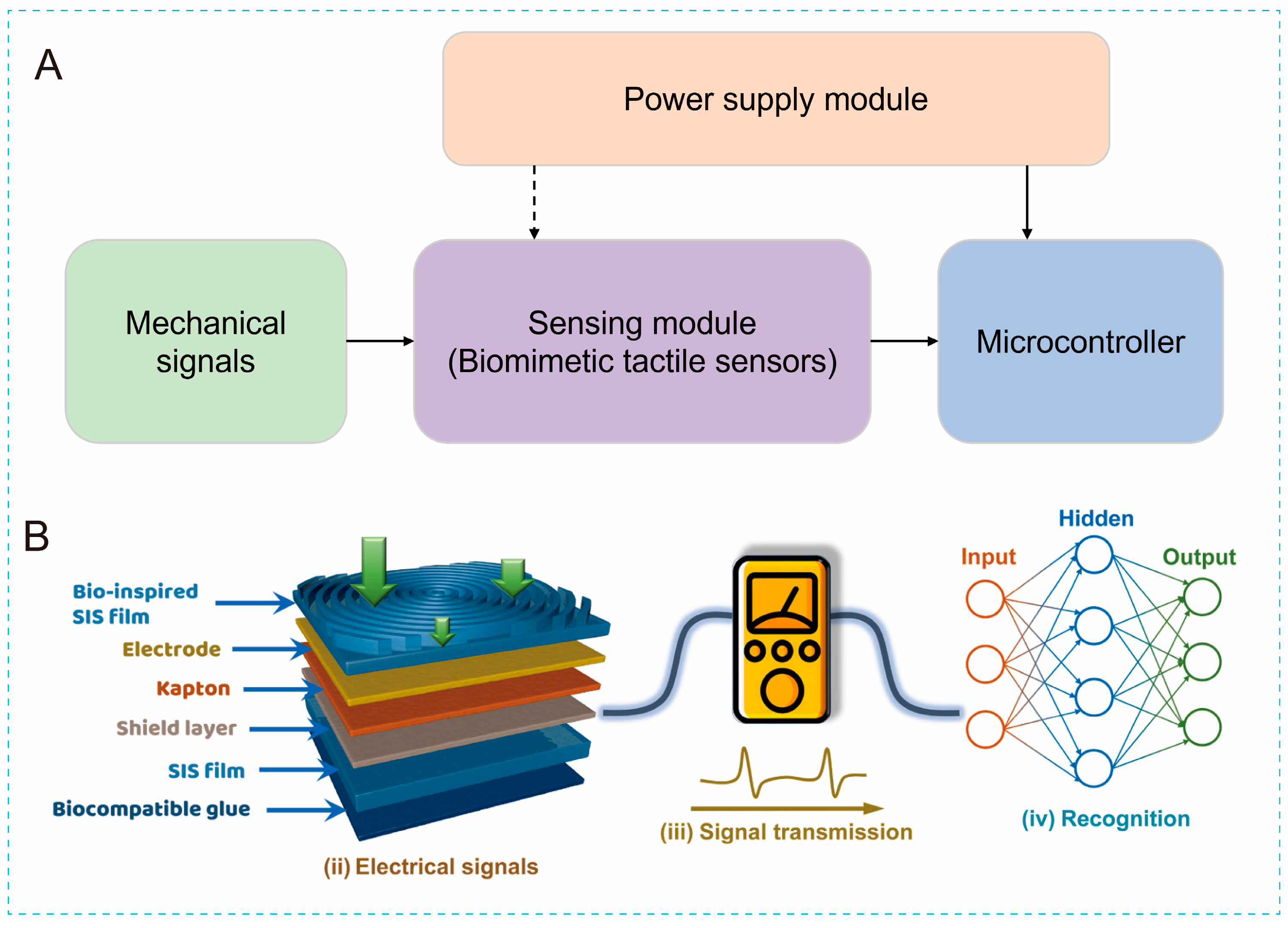 Biomimetics 10 00147 g008