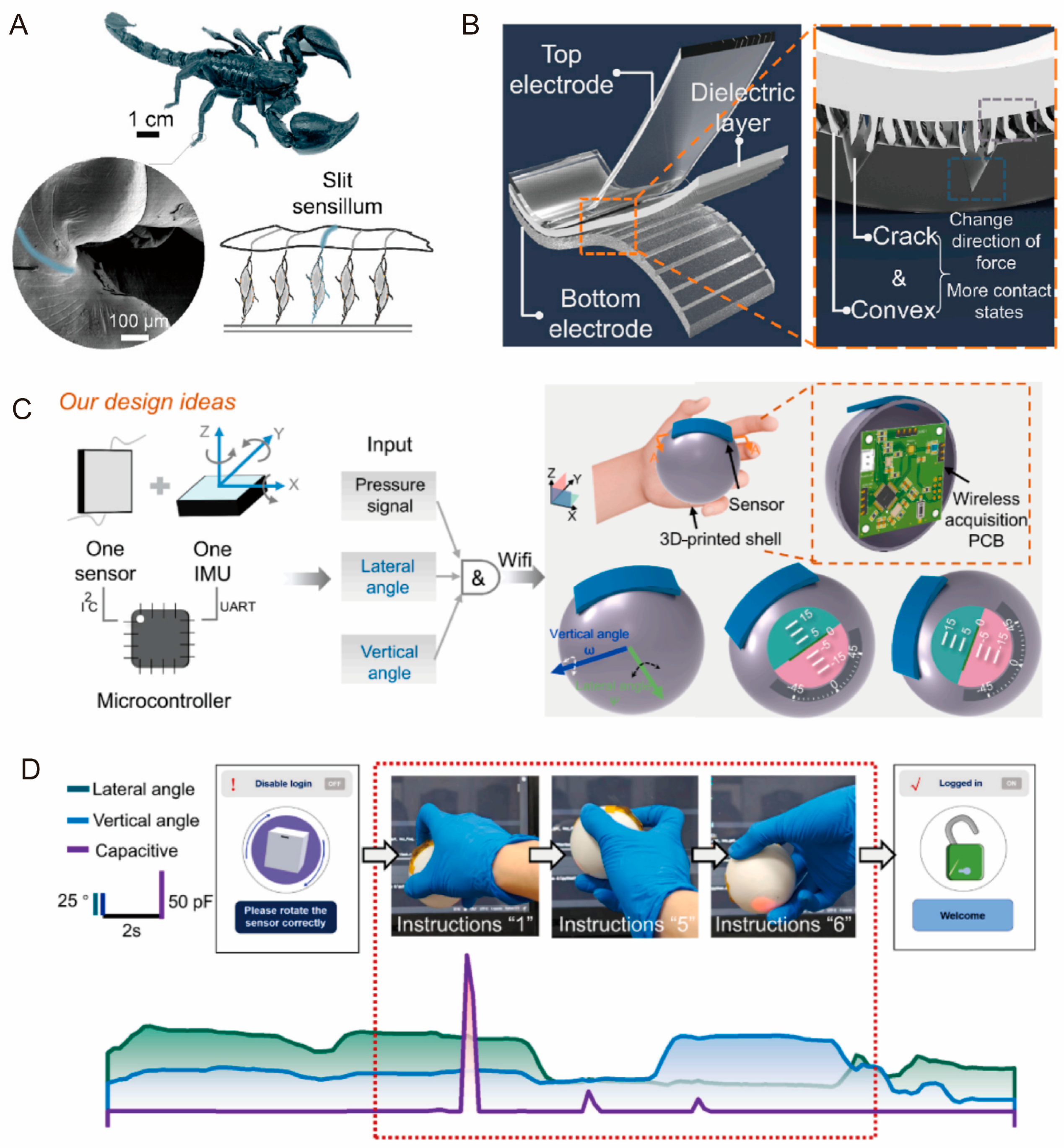 Biomimetics 10 00147 g013