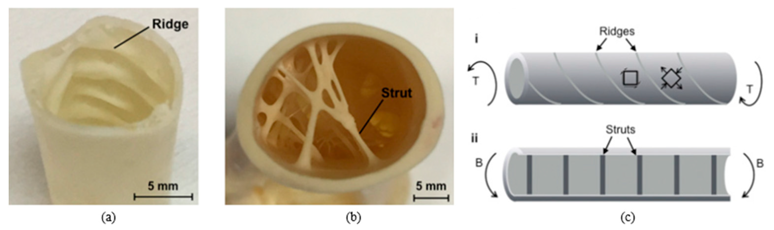 Biomimetics 10 00150 g012