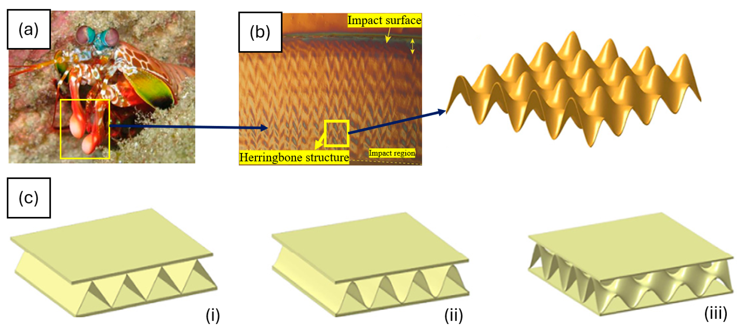 Biomimetics 10 00150 g016